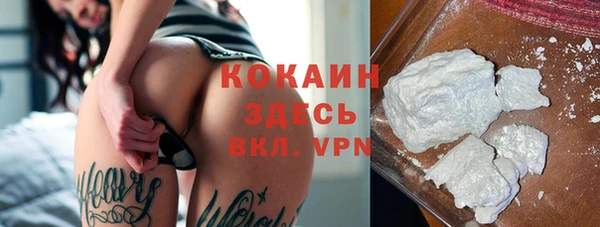 мяу мяу мука Арсеньев