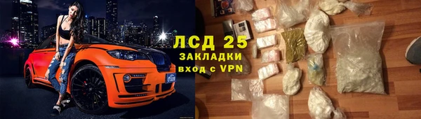 сатива Аркадак