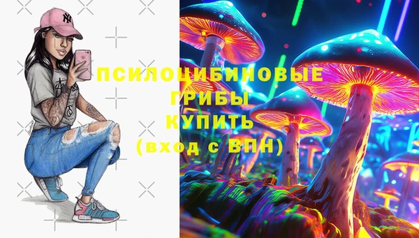 мяу мяу мука Арсеньев