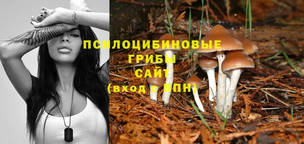 мяу мяу мука Арсеньев