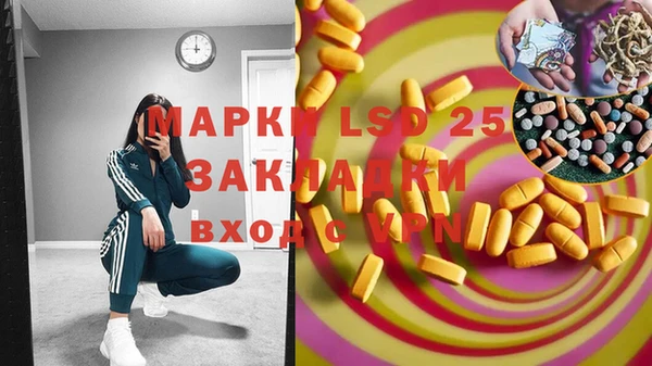 сатива Аркадак