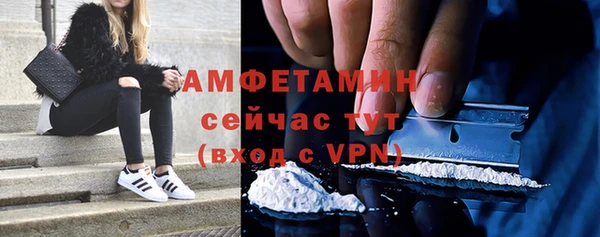 сатива Аркадак