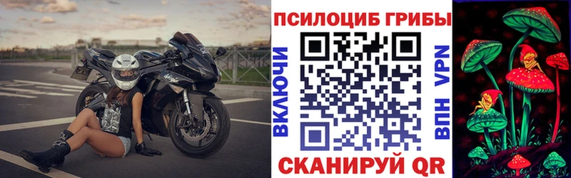 где купить наркотик  Лахденпохья  Псилоцибиновые грибы ЛСД 