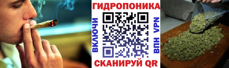 купить   Лахденпохья  блэк спрут ТОР  Конопля индика 